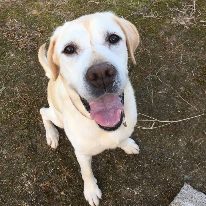 5c5d1a18 2b46 4687 a598 164284243891