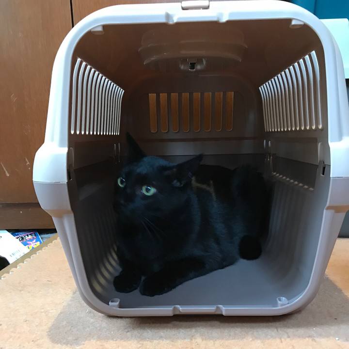 5c5d2710 f137 40f6 b571 e7f5c596846f