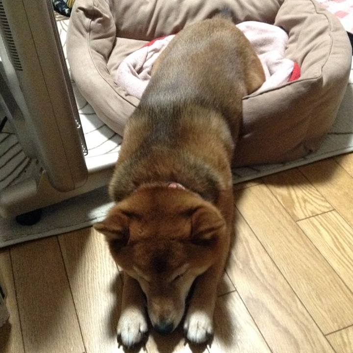 5c5e714c c12b 4d76 a572 44bf1259ac61