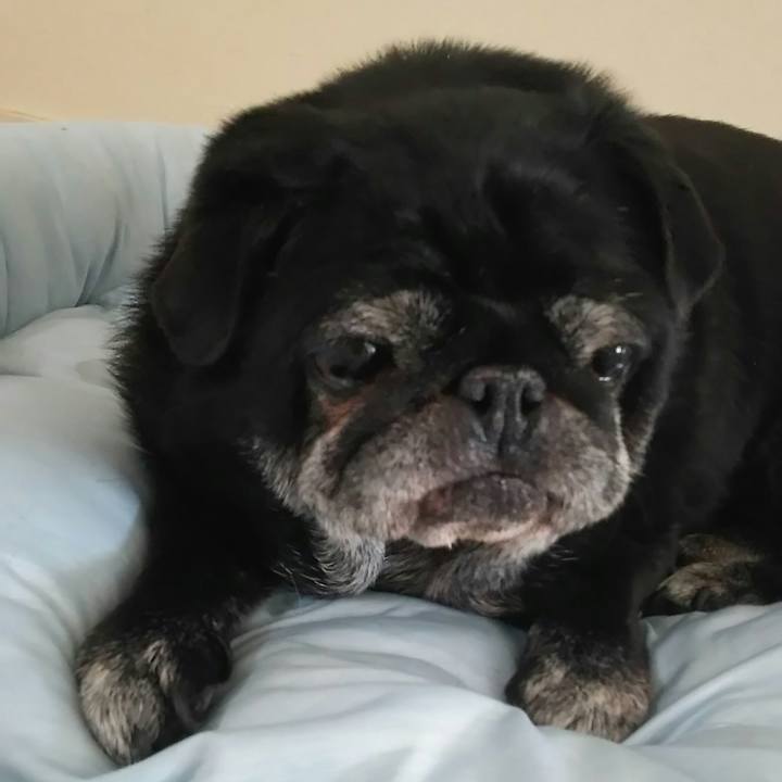 5c5ea856 0b1e 4911 a55e c6dca2025a3d