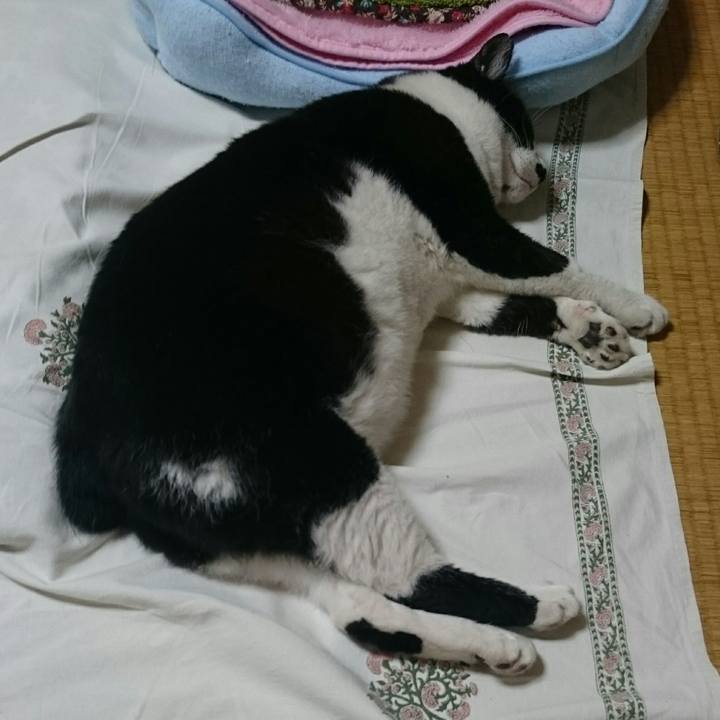 5c5eb799 fdf3 4e74 a67e 95e05f559d6c