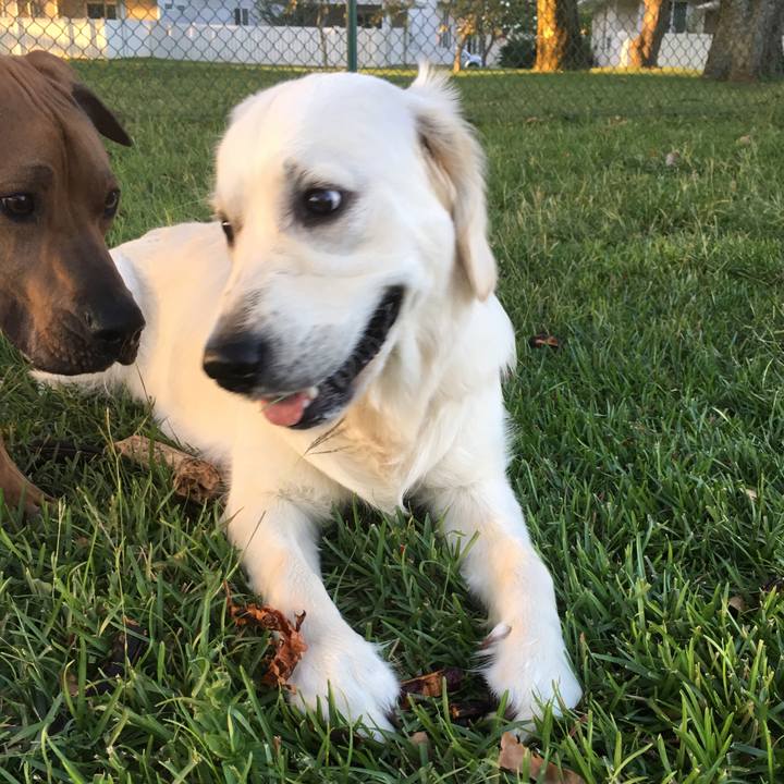 5c5f58ec 3d2a 422a 94c5 cf44688d908e