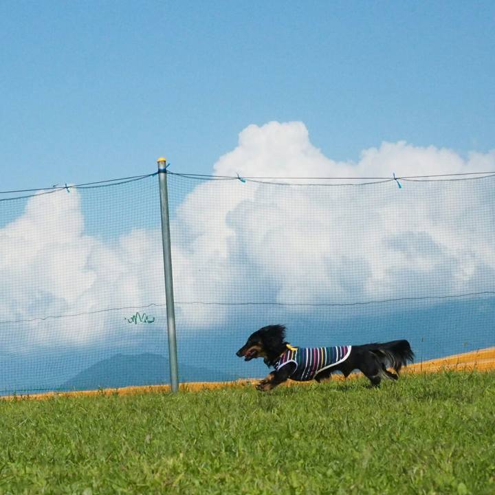 5c5ffc8a dfe9 4a66 bfcc 63851e0422c3