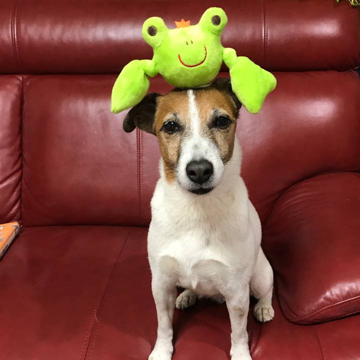 5c60837b 0215 409e ae01 89ce0f40b5b2