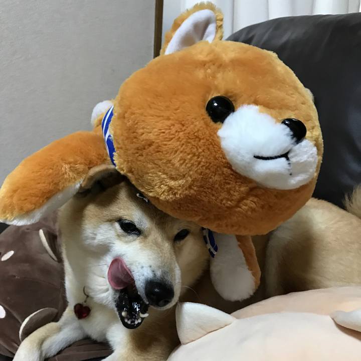 5c617d33 0683 4cf0 bea7 78ad0de6666c