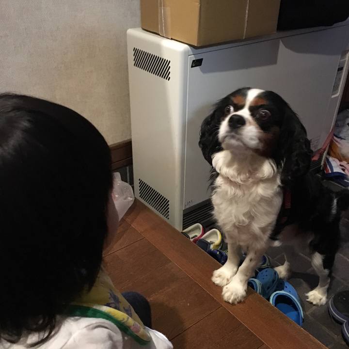 5c6282ff c019 40b1 abd5 048fd6329ca6