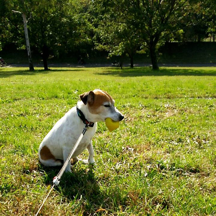 5c6297a6 b963 49ea adc2 ff891370d940