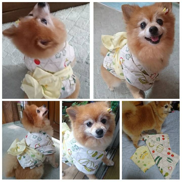 5c62ad6d 69f4 4119 8adf b75ce8deb12f