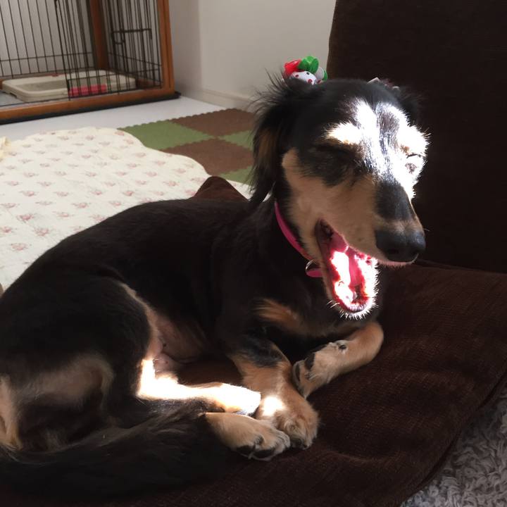 5c63d7aa bb80 45fc 9c87 68e4513f377e