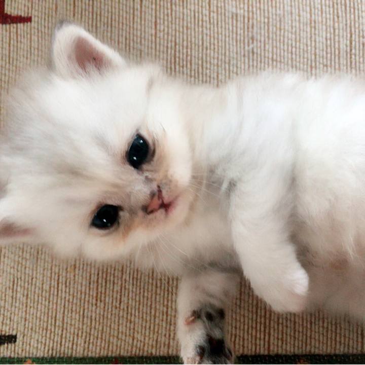 5c63eadc 6d84 4d3f 97f9 c010e3b3de33