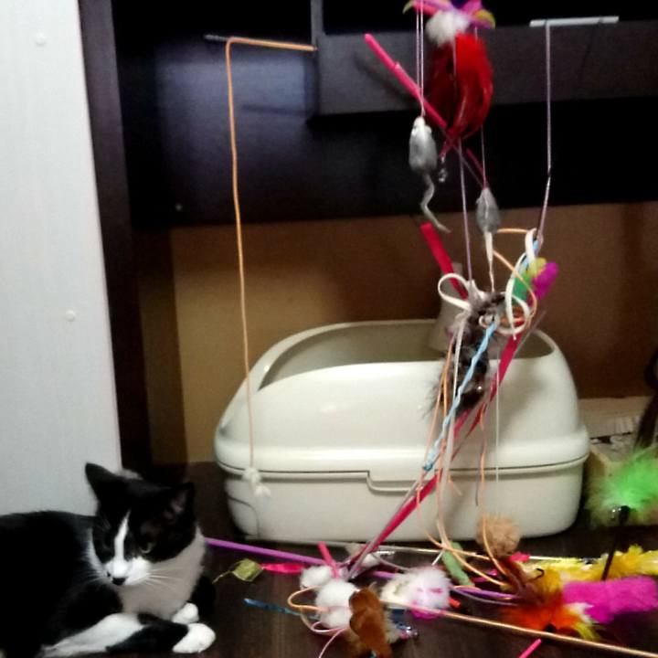 5c641107 ae5d 4a78 bf4b 4ad386db98e6