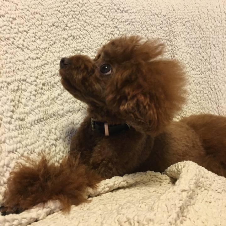 5c646e4b 7b87 43e2 bf6c eb002d6a08a9