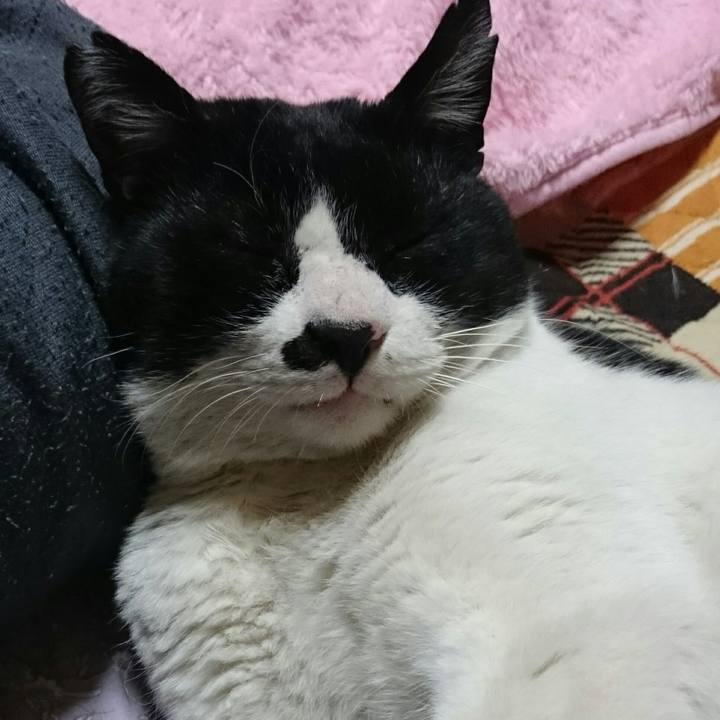 5c653b2f f9ef 43f3 9749 14e82afb00a8