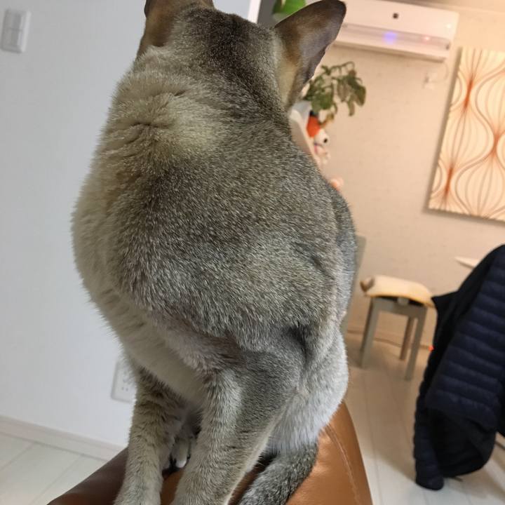 5c657a76 ef83 44dc afc7 d46f5584cace