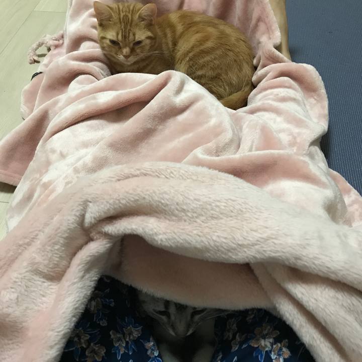 5c659011 b680 4d35 be22 8132479520df