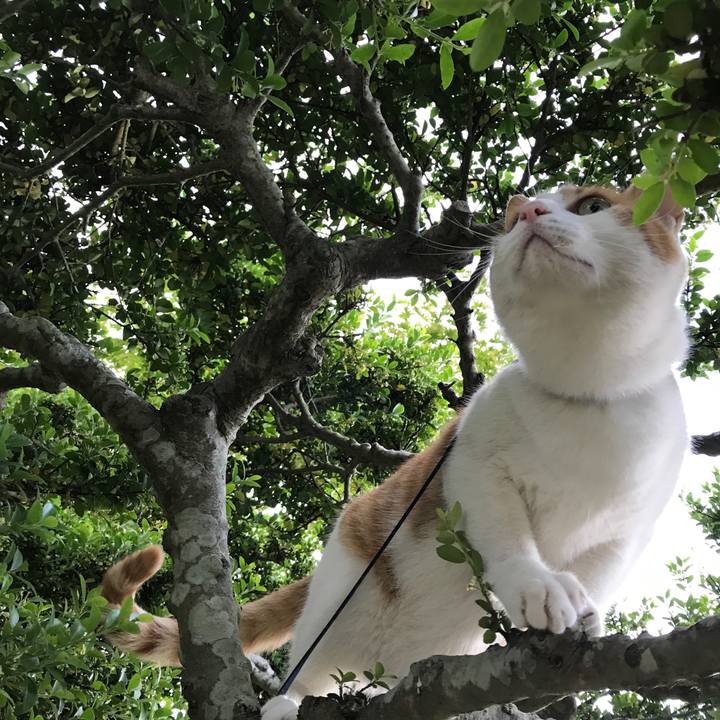 5c6615c0 eb11 4144 a9c7 00e062888b23