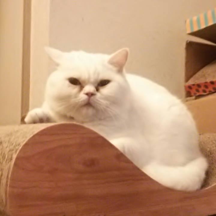 5c66c421 9c8b 41e5 9758 d53dea8c98ef