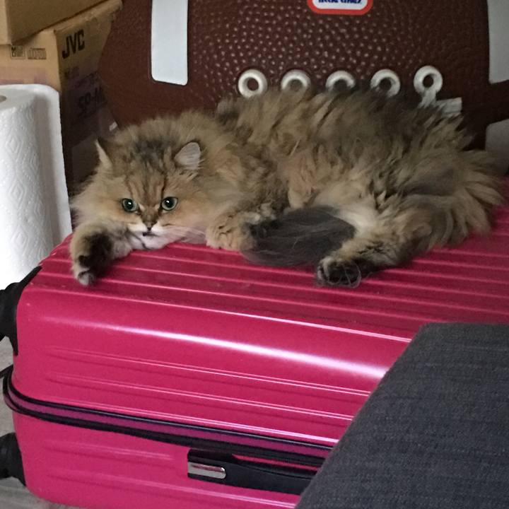 5c66dac7 bdee 4cb9 bd87 8ac2922111cd