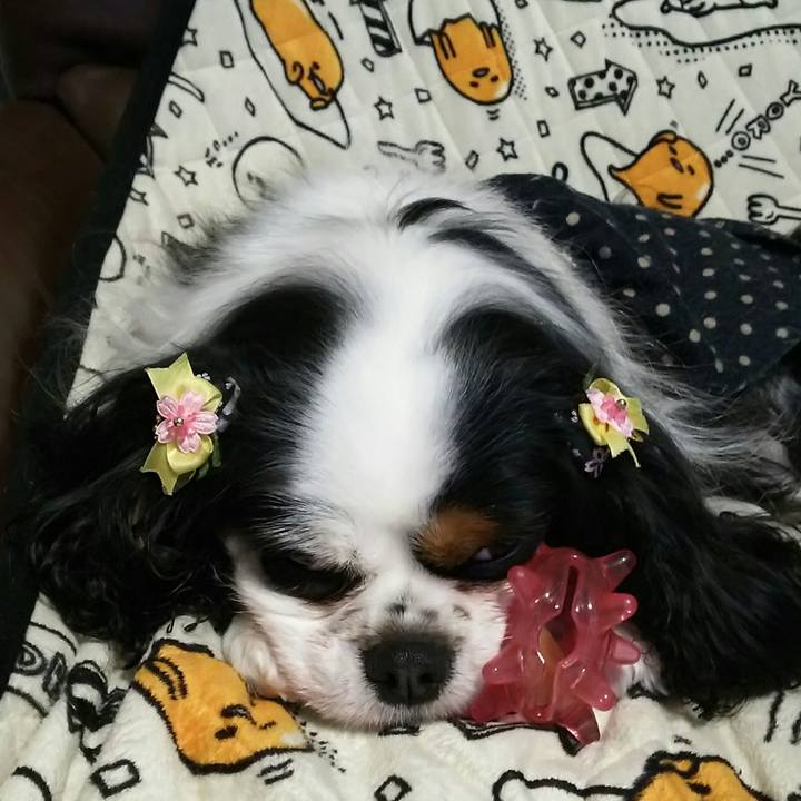 5c693765 dd7f 4eb5 9d25 e911634dcb85