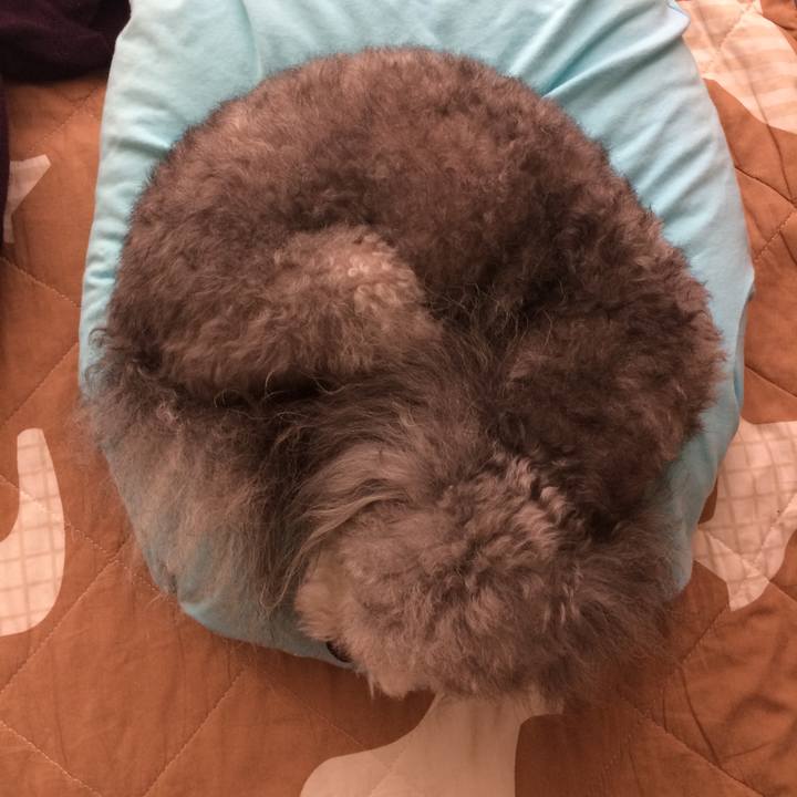 5c69f037 d109 4a81 bde1 cadbe859139e