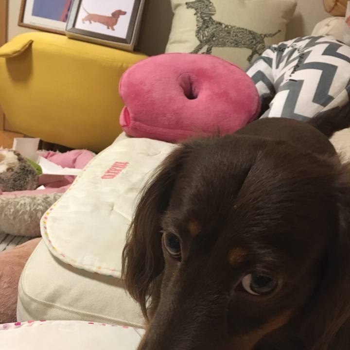 5c69f9a2 ad87 465b 97c1 bf53719e8432