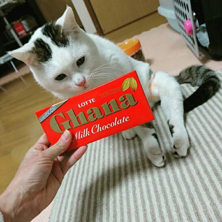 5c6a2835 40f9 4c21 8812 955b03a58a6b