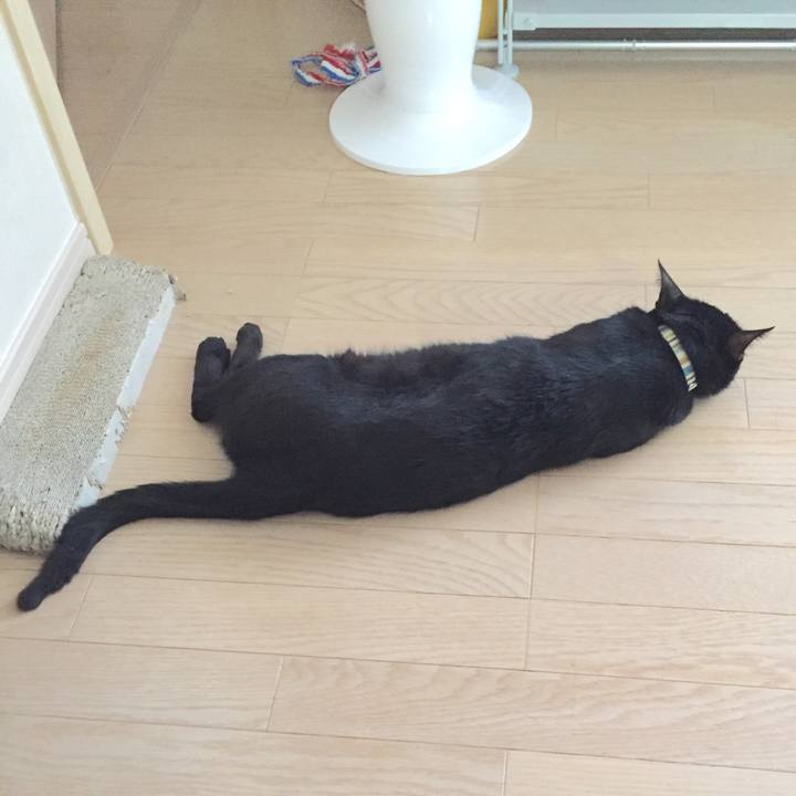 5c6a67b0 12e2 43fa 98d6 2c616ffff686