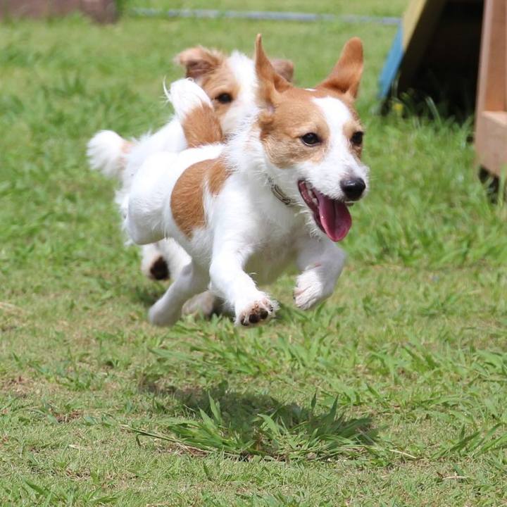 5c6b0766 3f09 451a af65 00e2cf717f7e