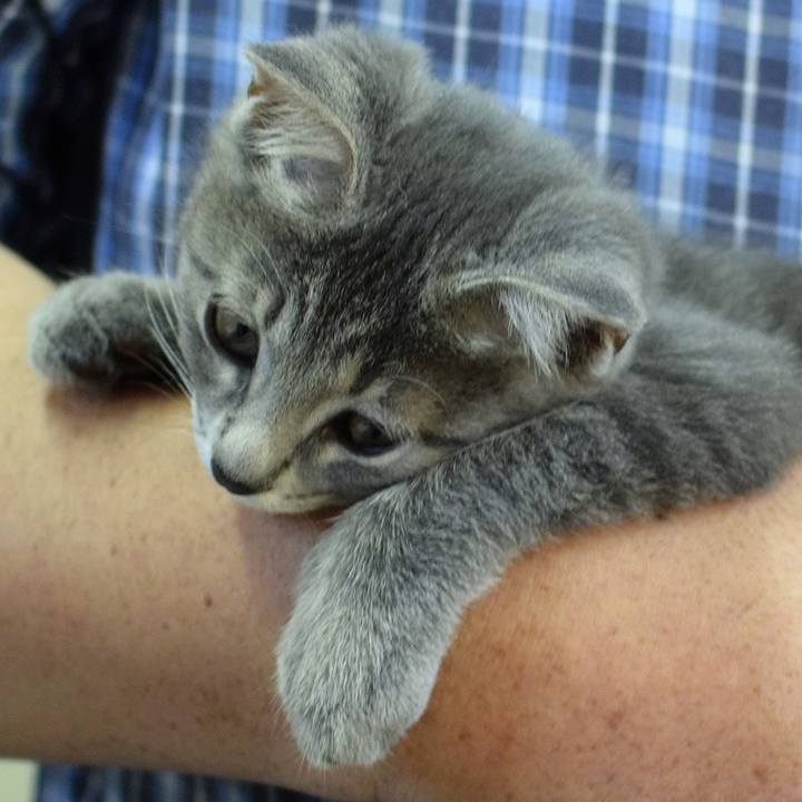 5c6b3757 2640 4159 ae2a 23ffc9690abb