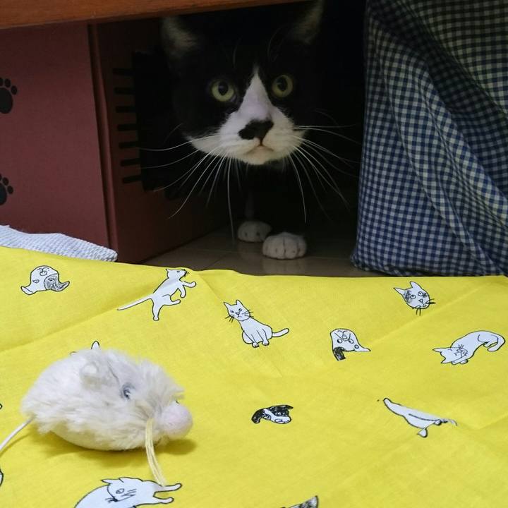 5c6b8f30 eaa0 4689 921d 74e0b2eccdb1