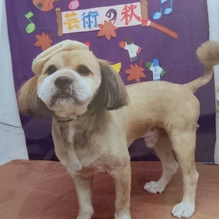 5c6bf925 674c 4599 a501 f0208bbe64d6