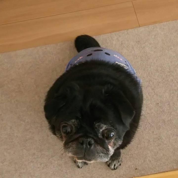 5c6bfea8 42b0 4403 b8a4 0b7bc2b1db5e