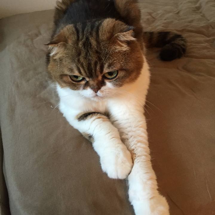 5c6d247c 244a 443b a2e4 0476660b5043