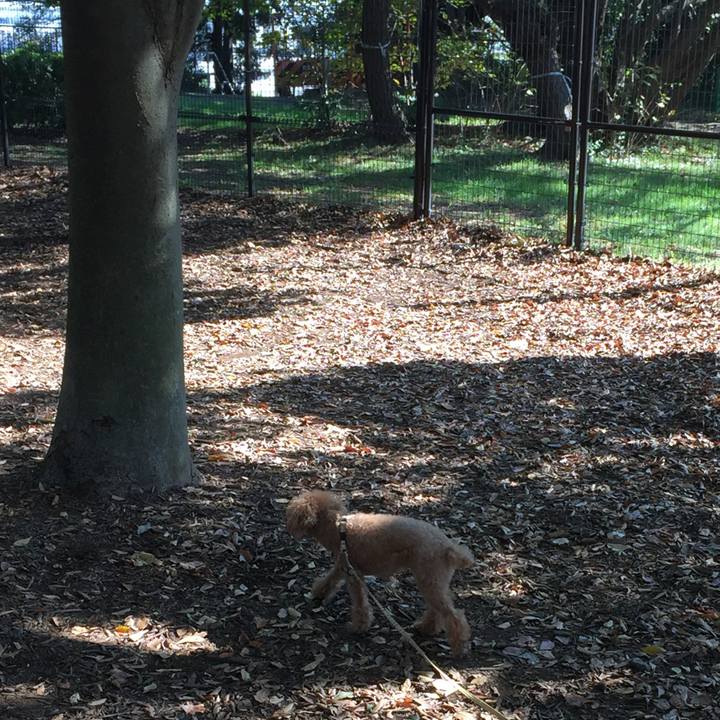 5c6d2a3d 3002 4729 9dfc 48d7de1f5026