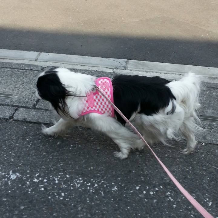 5c6d4631 d3ba 406d bf9f 05ebcf9afecd