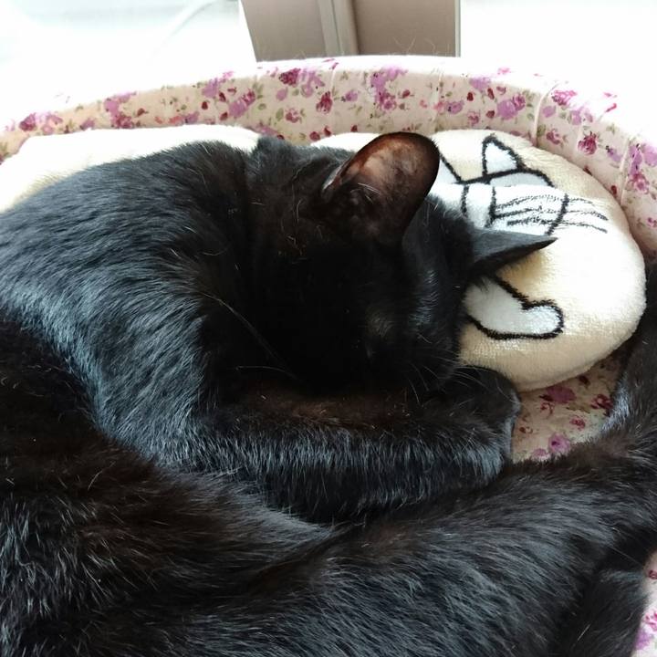 5c6d9d3e 0f6c 489d 8f5f d4785d9e1a41