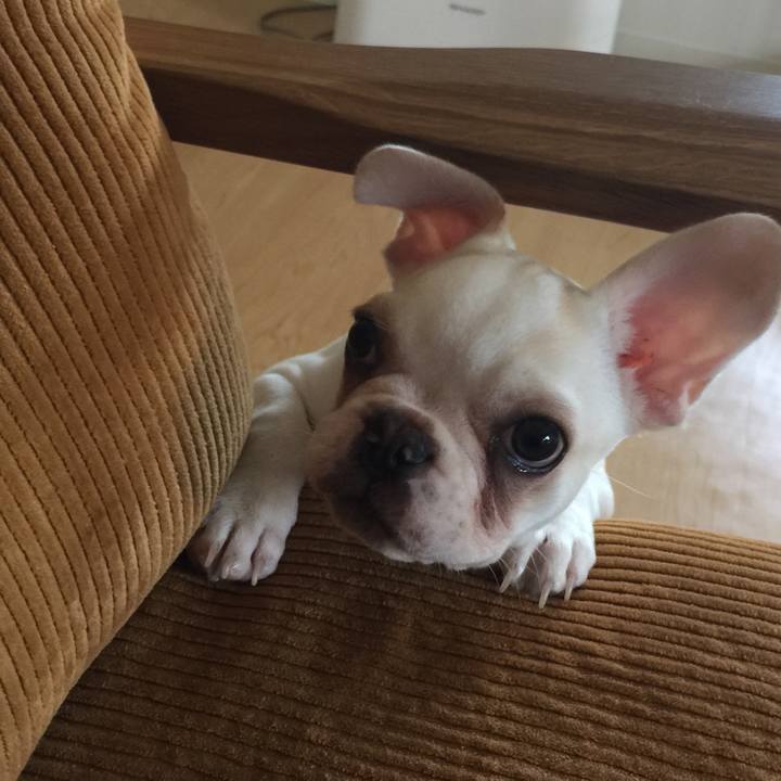 5c6e5ad0 2ba7 4472 99a1 8325e86127a6