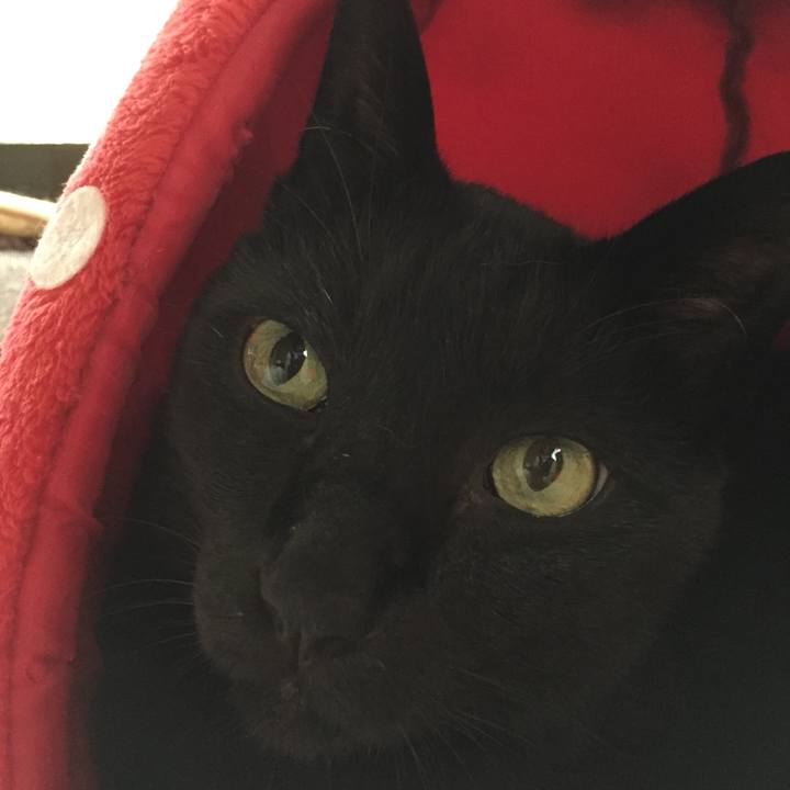 5c6f21db f743 4d84 b450 4d0c2339069d