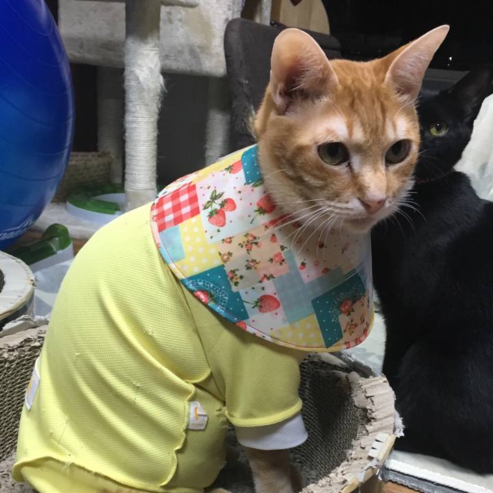 5c6f7529 d6a8 4f5a a02b 275f5f58693a