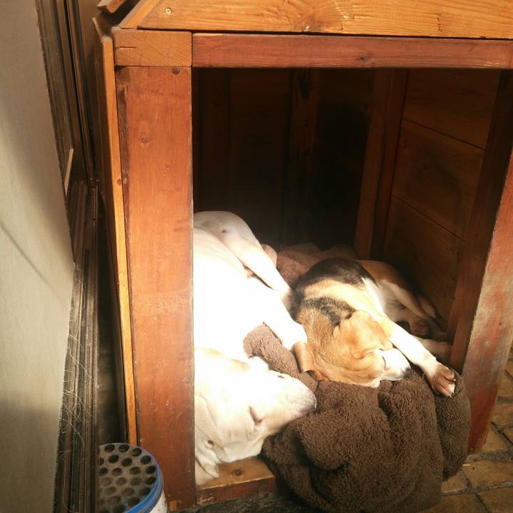 5c6f7688 4a48 45e1 9973 6b1d0cb37e7a