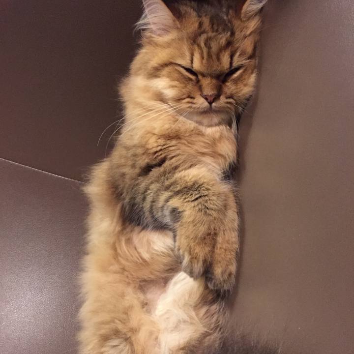 5c708352 67cf 4a00 8caf e51a75df2478