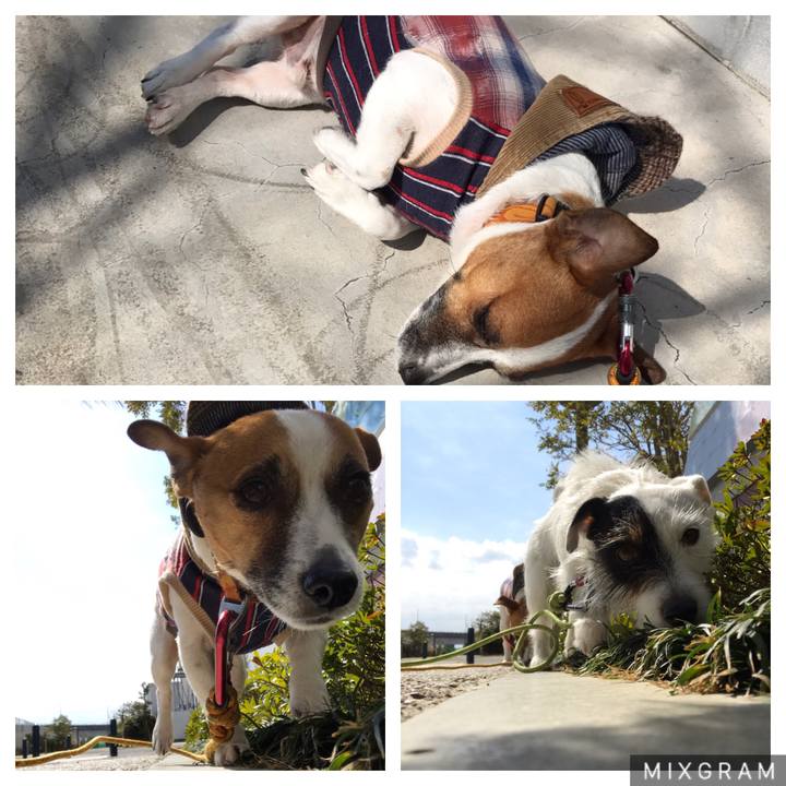 5c71043d 2247 4aa2 9f2f b12a2dd2fa7a