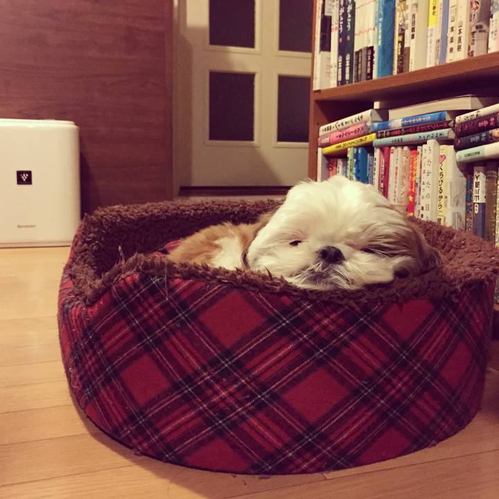 5c715c22 ec1d 47af 8663 3f6957ad71fe