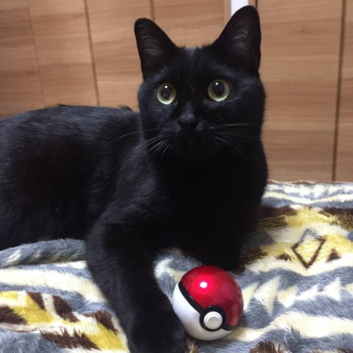 5c7279a9 4304 436a b170 9a40a820d1dd