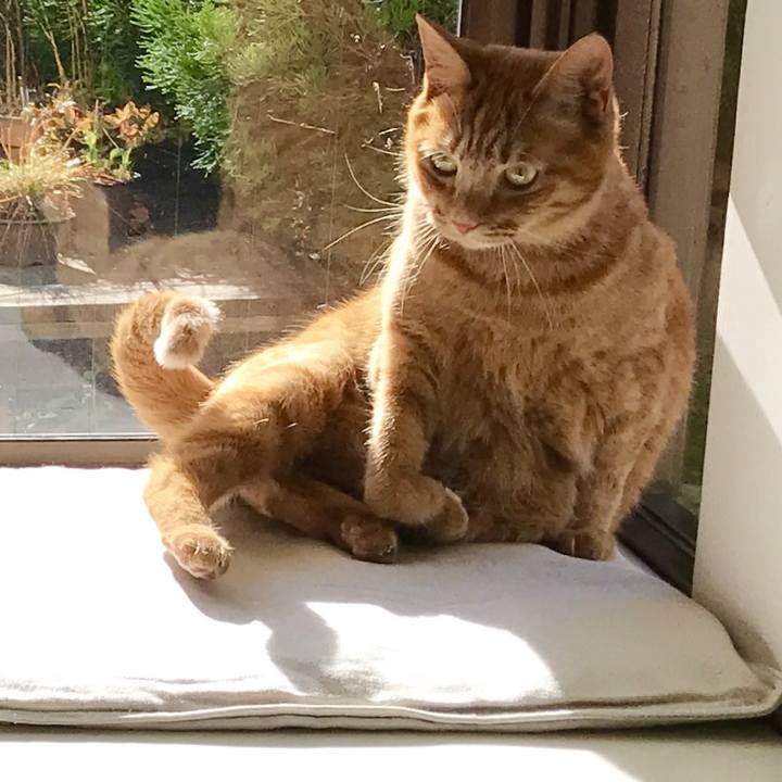 5c729fc6 57a9 4812 a04b 61c12c3ccd60