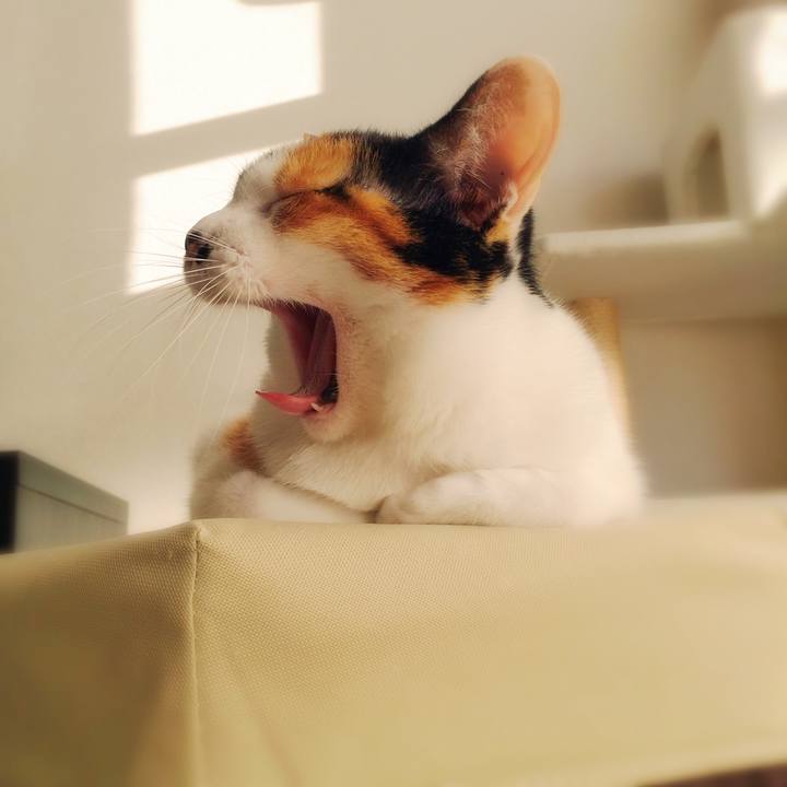 5c72cacf f7a2 4689 9d7b e9e5127eab55