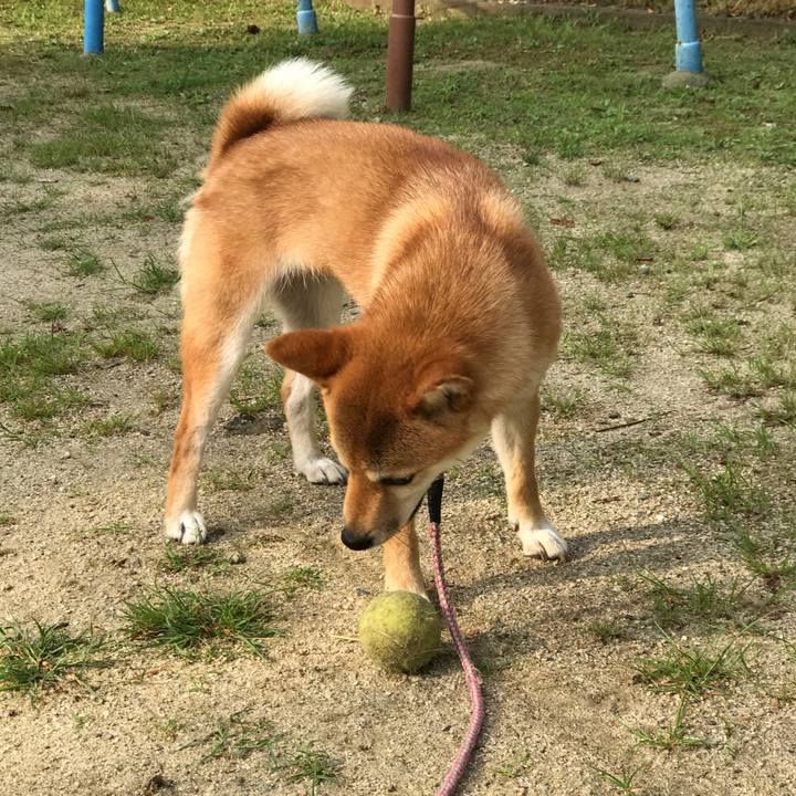 5c7425f9 6d64 432c b9c2 bd594ae58689