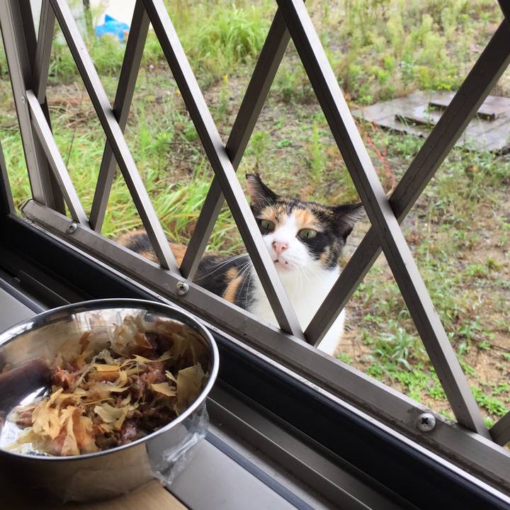 5c746822 f356 4f1b ac23 1cf85bd1d4a9