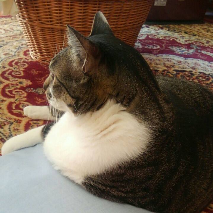 5c74fdda 34da 43f4 84c8 df6b2bbd95f6