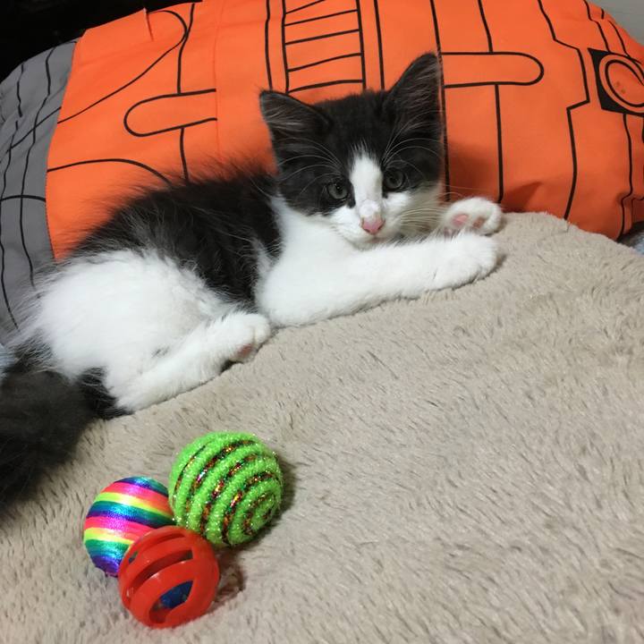 5c757f4f 7924 4a2c b57b 2cf5b890da59